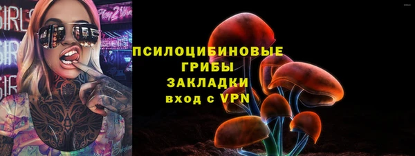 индика Алзамай
