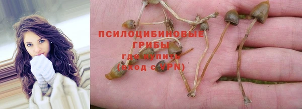 индика Алзамай
