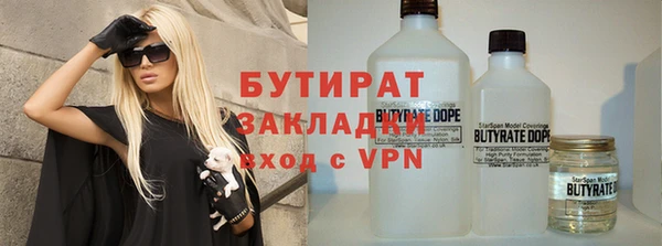 индика Алзамай