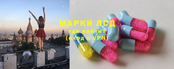 индика Алзамай