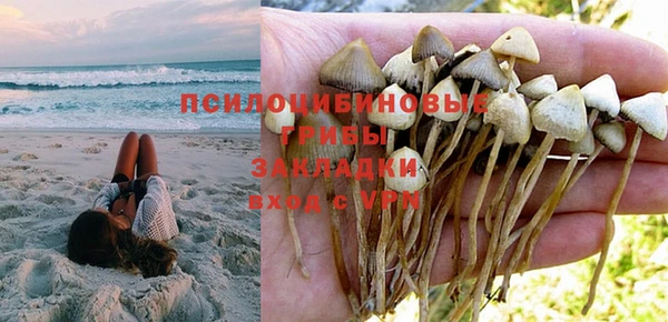прущая мука Осинники