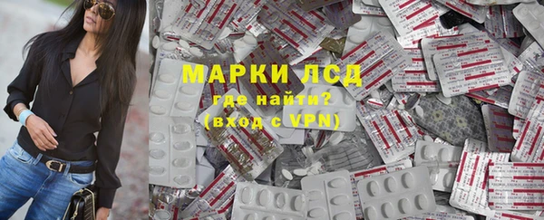 индика Алзамай