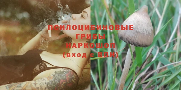 индика Алзамай
